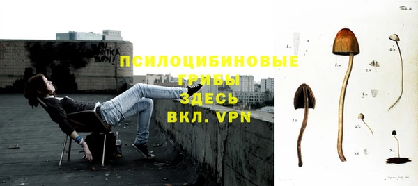 амф Верея