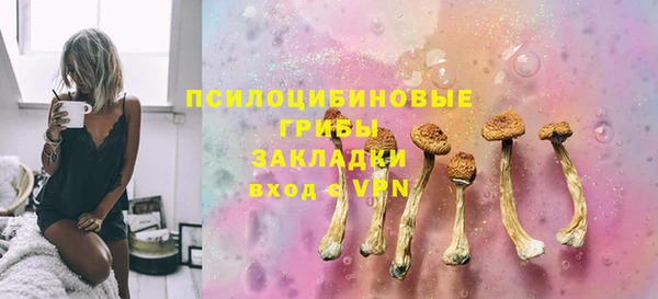 амф Верея
